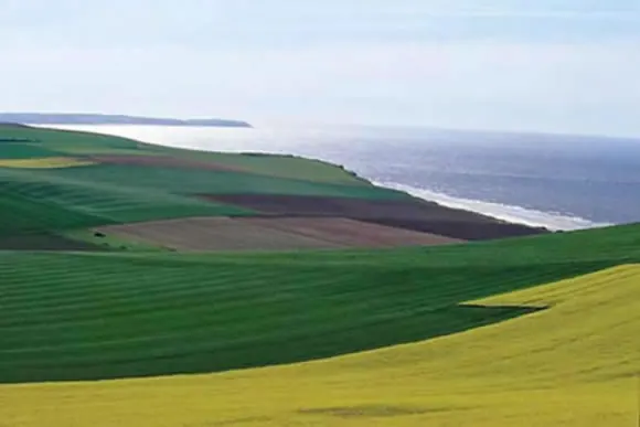 Les champs d'Escalles au bord de la mer