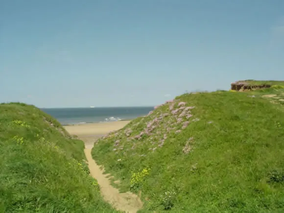 Chemin dans les dunes vers la mer