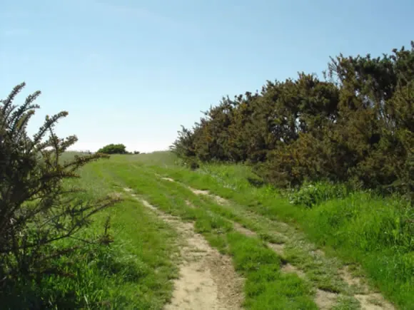 Randonnée sur un chemin de campagne